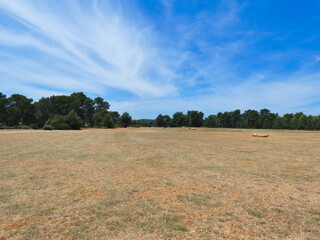 Magnificent  landscape of Provence near Aix en Provence with a vast field and a very beautiful blue...