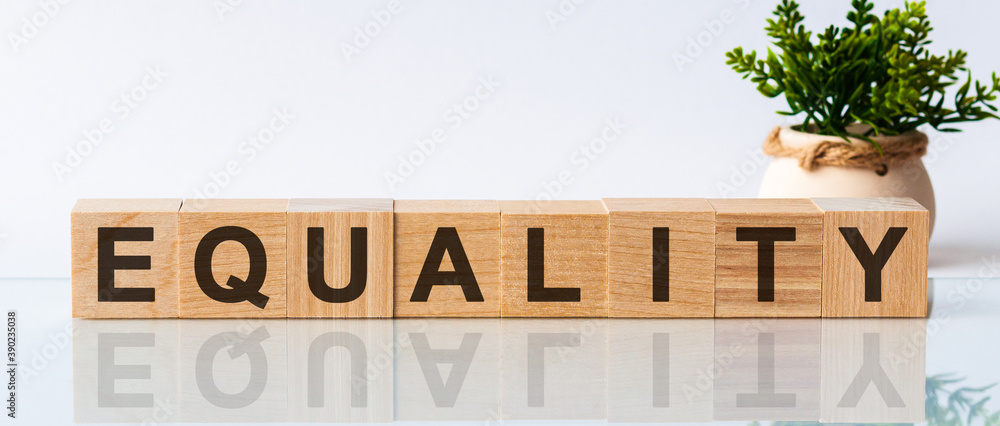 Poster wooden blocks with the text: equality. the text is written in black letters and is reflected in the 