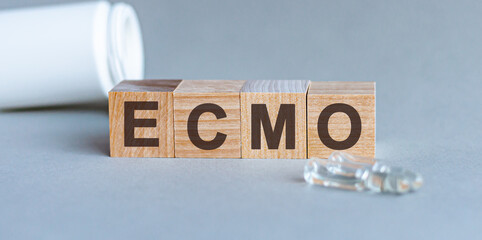 ECMO is a word written in black letters on wooden cubes.