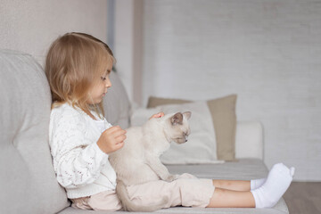 Little cute girl sitting on sofa with kitten.