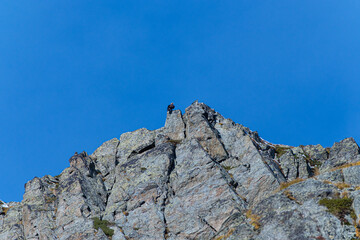 Eagle on top of mountain in front of blue sky
