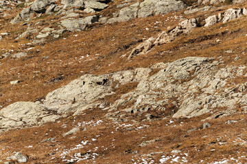 Alps - Vanoise National Park