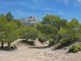 Magnificent and sublime landscape of Provence near Aix en Provence with superb nature and the...