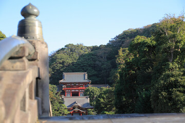 Fototapeta premium 鶴岡八幡宮 本宮 舞殿