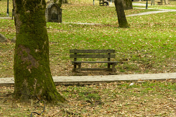NAOU, GREECE - Aug 15, 2020: Bench in a park with trees in the city of Naoussa in Greece