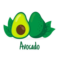 Avocado fruit. Cartoon vector icon isolated on white background.