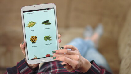 Woman at Home Lying on Couch in Living Room Using Smartphone Buys in Internet Shop. Woman Orders Food Home In An Online Store Using a Smartphone. Female Selects Vegetables in Grocery Online Store. POV