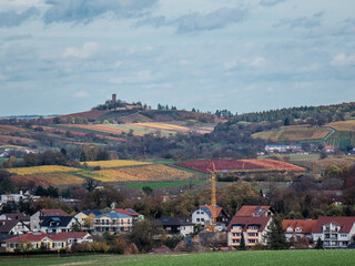 Weinberge im Herbst