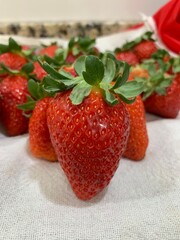 strawberries in a bowl