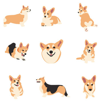 Vector image. The illustration shows different dogs in different breeds are hand-drawn. Suitable for coloring pages, pet shop or pet lovers.