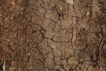  texture earth