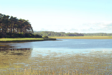 calm lake at afternoon- Uruguay Punta del Este