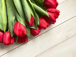 red tulips on wooden white background