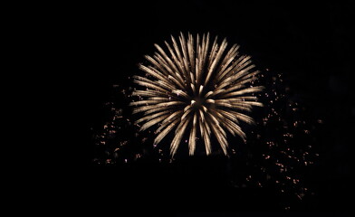 Festive fireworks and against the black sky