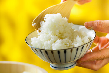 炊き立ての白米