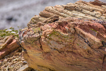 Image captured at the Petrified Forest NP Arizona.
