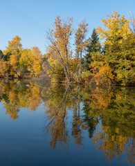 Colorful Fall Trees with Reflections in Lake