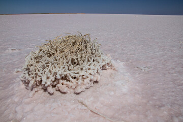 Lake Eyre salt lake,  South Australia