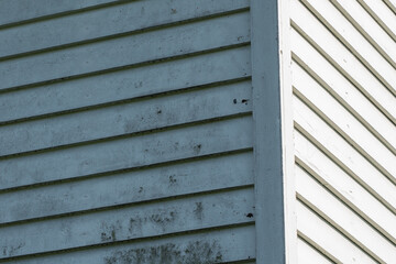 Mold and mildew on the side of a house.