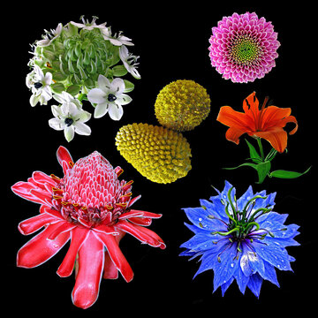 Jardim de flores.