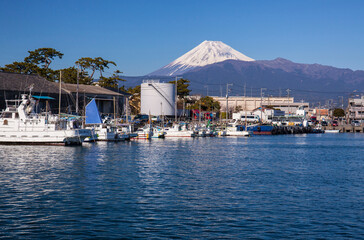沼津港と富士山
