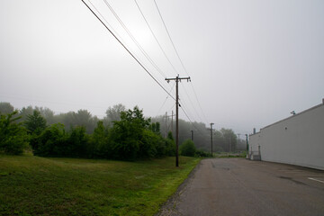 misty telephone pole