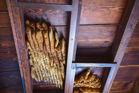 bee hives under a wooden ceiling