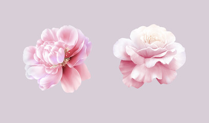 Flowers watercolor illustration.Manual composition.Big Set watercolor elements，Design for textile, wallpapers，Element for design,Greeting card