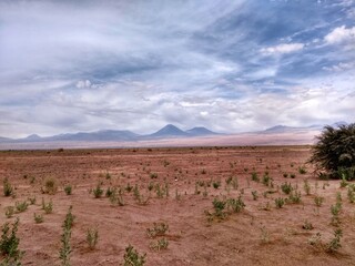Licancabur Volcano, Atacama Desert, Chile, South America. This area has deserts, salt flats, volcanoes, geysers, hot springs and a lot of animals.