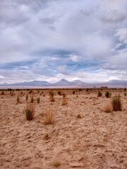 Licancabur Volcano, Atacama Desert, Chile, South America. This area has deserts, salt flats, volcanoes, geysers, hot springs and a lot of animals.