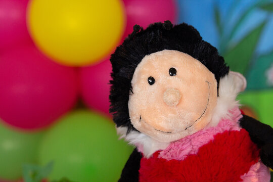 Closeup of the face of a stuffed toy