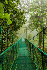 A walk through the clouds over a bridge above the canopy of the up to 60 meter tall trees of the rainforest of Costa Rica