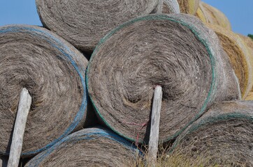 Hay bale (ballots de foin),  France, Europe. 