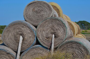 Hay bale (ballots de foin),  France, Europe. 