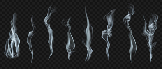 Set of several realistic transparent smoke or steam in white and gray colors, for use on dark background. Transparency only in vector format © Olga Moonlight