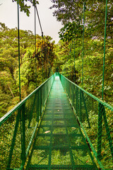 A walk through the clouds over a bridge above the canopy of the up to 60 meter tall trees of the rainforest of Costa Rica