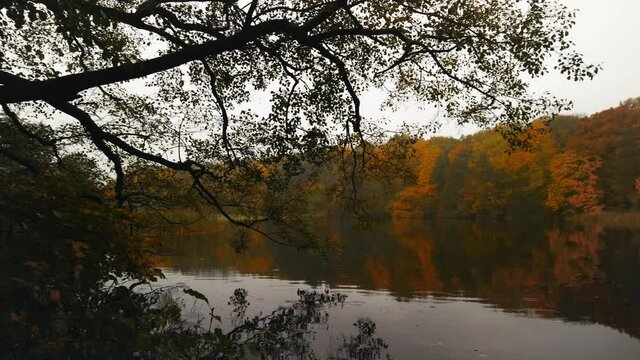 Panning over the small lake of Hjortedam, Lyngby, Copenhagen, Denmark, on a rainy autumn day, stock footage by Brian Holm Nielsen