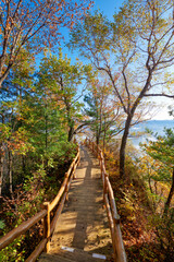  The wood boardwalk in autumn forest.