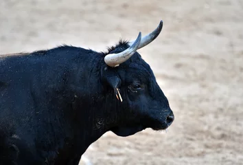 Fotobehang aggressive bull running on the bullring in the traditional spectacle of bullfight © alberto