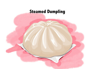 Steamed dumpling bun isolated. Realistic hand drawing vector illustration.