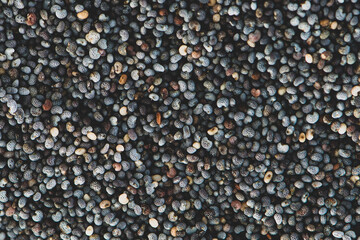 Poppy seeds background. Top view. Close up.