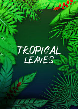 Exotic pattern with tropical leaves on a black background.