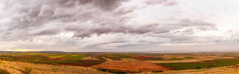 Panoramic view of vineyards in autumn, variety of colors ocher, red, orange, brown, green giving life to the beautiful landscapes of La Rioja Spain