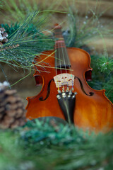 a violin laying among evergreen branches and pinecones © Liz