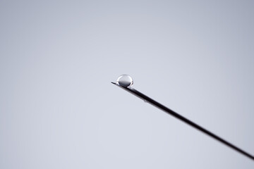 Medical syringe with a needle and vaccine against corona virus.