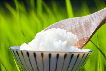 炊き立ての白米