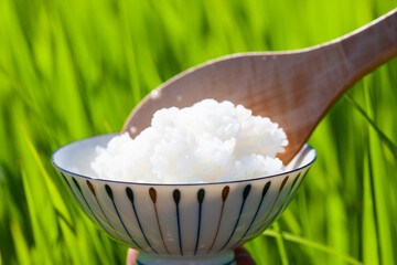 炊き立ての白米