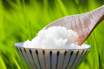 炊き立ての白米