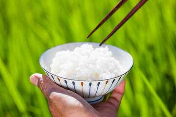 炊き立ての白米