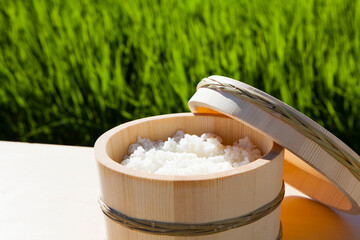 炊き立ての白米